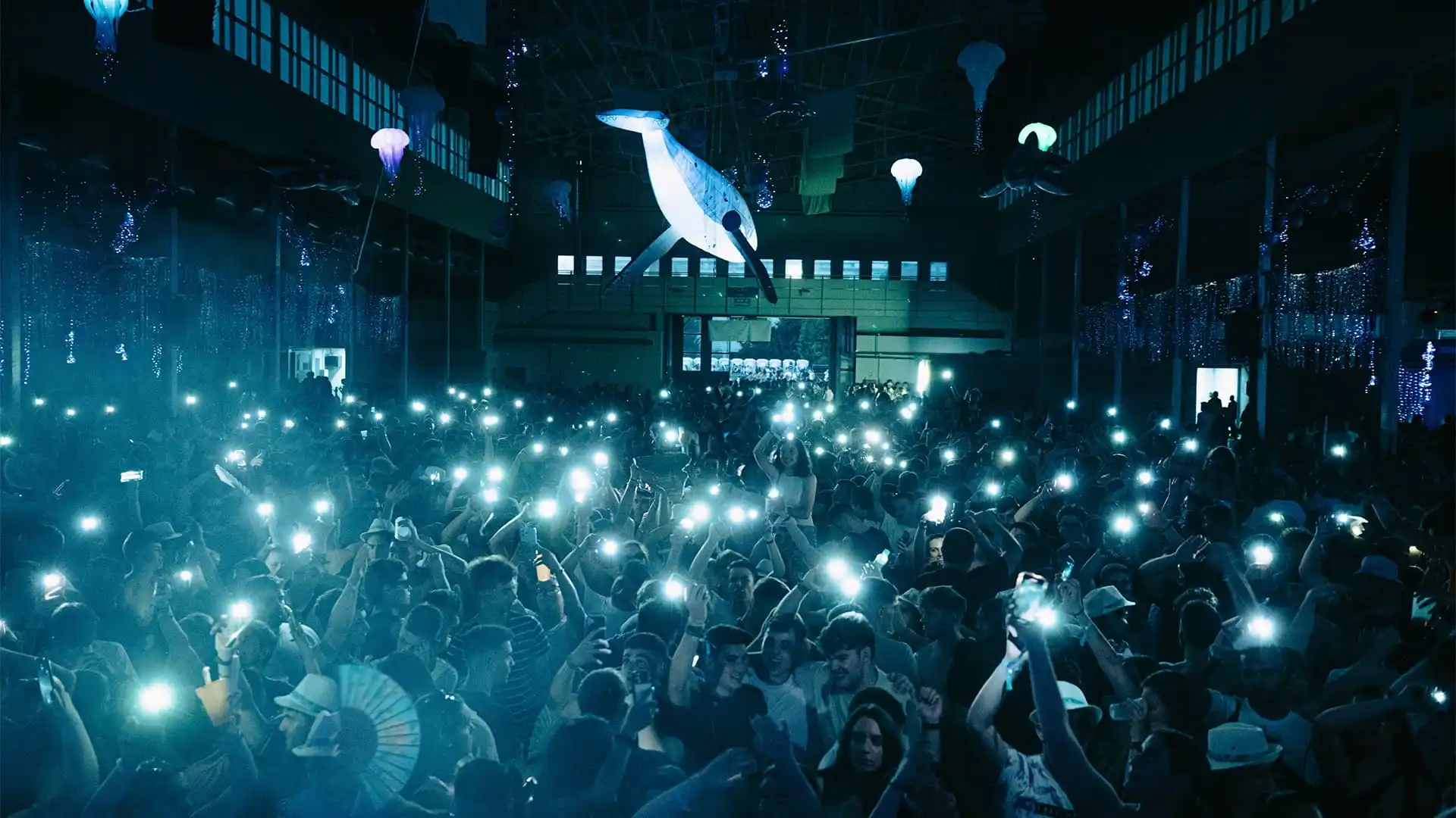 new-61-1 fiesta recreo